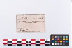 Etikett zu Bronzearmreif (NHMW-PRAE-002308)